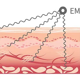 Neuheiten | EMS Fußmassager