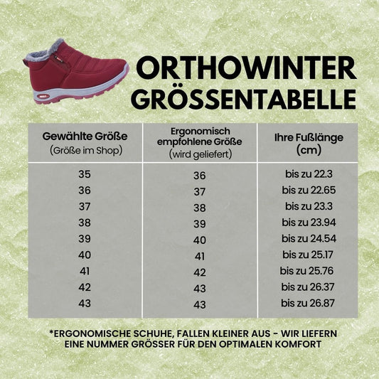OrthoWinter